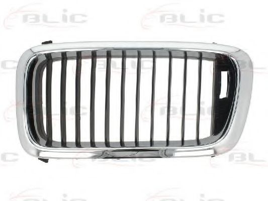 решетка пред радиатора 6502-07-0075991P