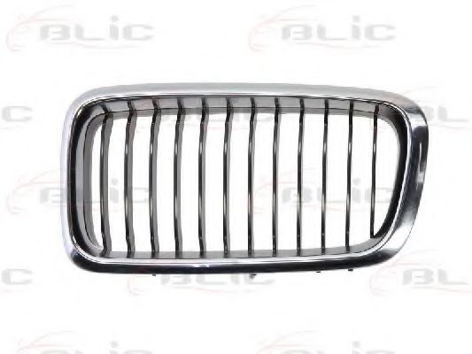 решетка пред радиатора 6502-07-0075995P