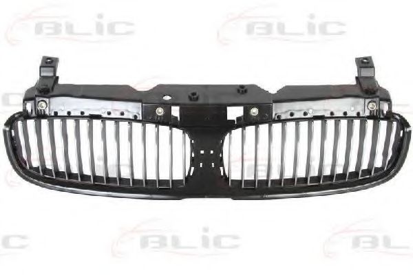 решетка пред радиатора