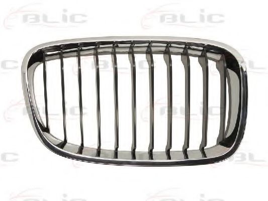 решетка пред радиатора