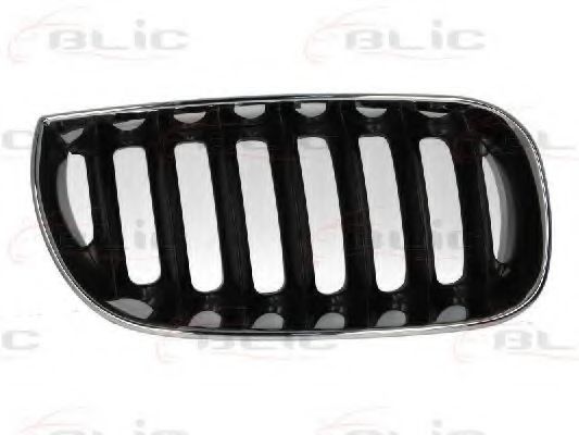 решетка пред радиатора 6502-07-0093992P