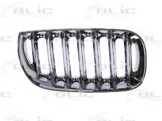 решетка пред радиатора 6502-07-0093994P