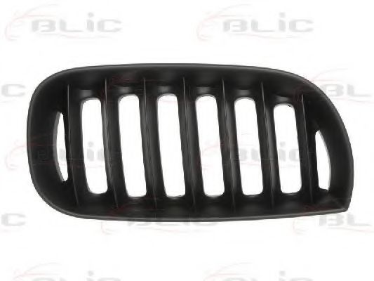 решетка пред радиатора 6502-07-0093996P