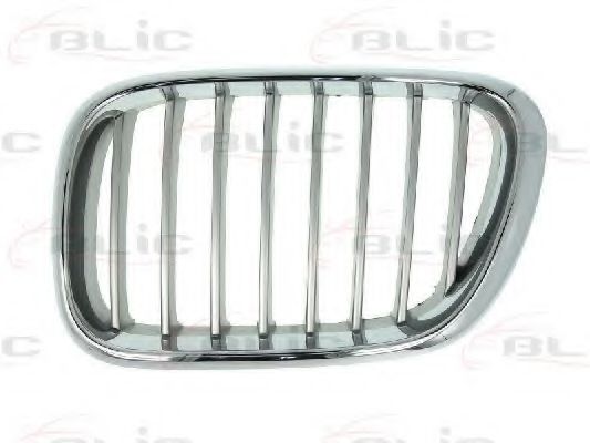 решетка пред радиатора 6502-07-0095991P