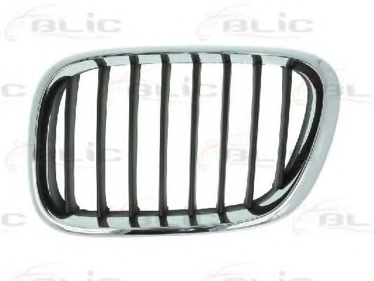 решетка пред радиатора 6502-07-0095993P