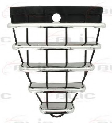 решетка пред радиатора 6502-07-0109993Q