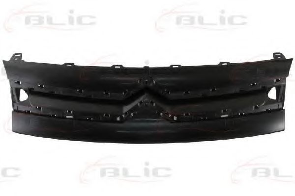 решетка пред радиатора 6502-07-0552990P