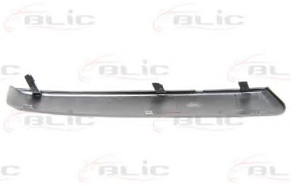 покривна/защитна лайсна, броня 6502-07-2533922P