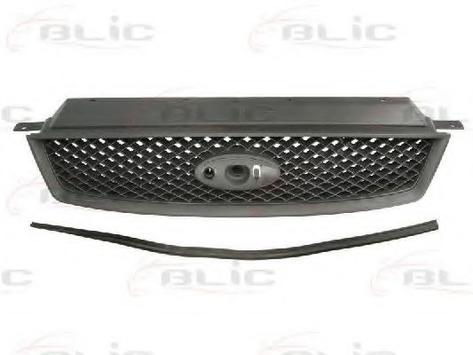 решетка пред радиатора 6502-07-2534990P