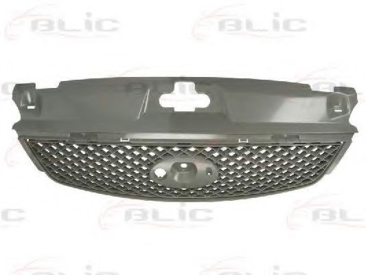 решетка пред радиатора 6502-07-2555995P