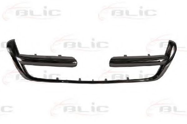 покривна/защитна лайсна, решетка на радиатора 6502-07-2956991P