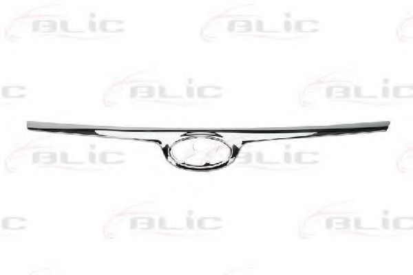 покривна/защитна лайсна, решетка на радиатора 6502-07-3135210P