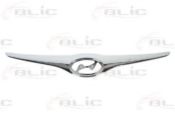 покривна/защитна лайсна, решетка на радиатора 6502-07-3135211P