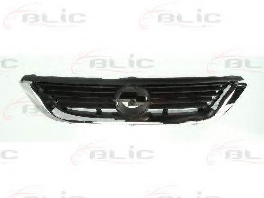 решетка пред радиатора 6502-07-5077994P