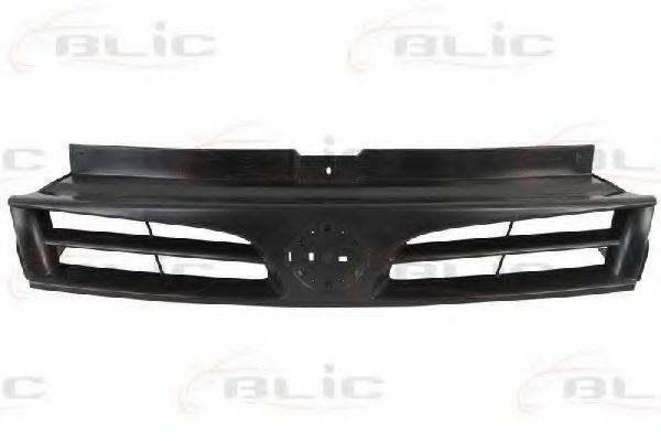 решетка пред радиатора 6502-07-5089990P