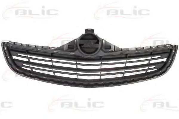 решетка пред радиатора 6502-07-5097990P