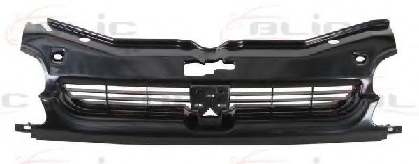 решетка пред радиатора 6502-07-5560990P