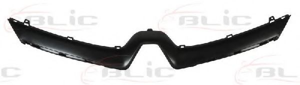 покривна/защитна лайсна, решетка на радиатора 6502-07-6034991P