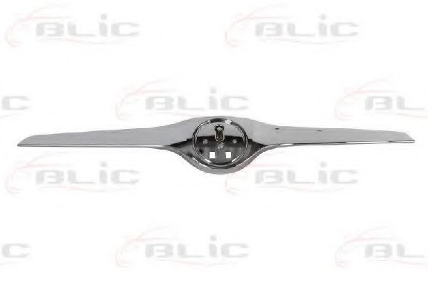 покривна/защитна лайсна, решетка на радиатора 6502-07-7515991P