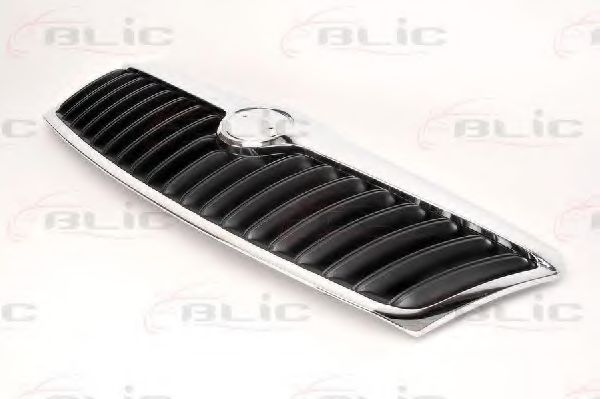 решетка пред радиатора 6502-07-7521991P