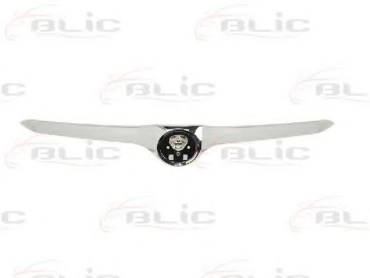 покривна/защитна лайсна, решетка на радиатора 6502-07-7526991P