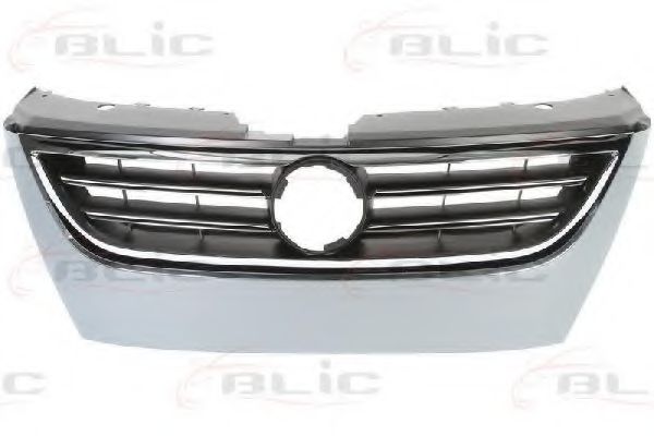 решетка пред радиатора 6502-07-9540997P