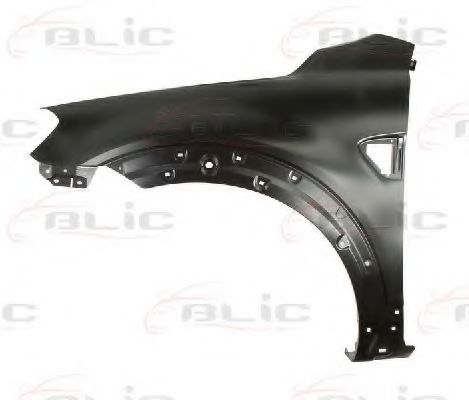 калник 6504-04-1199311P