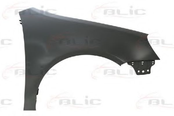 калник 6504-04-9524312P