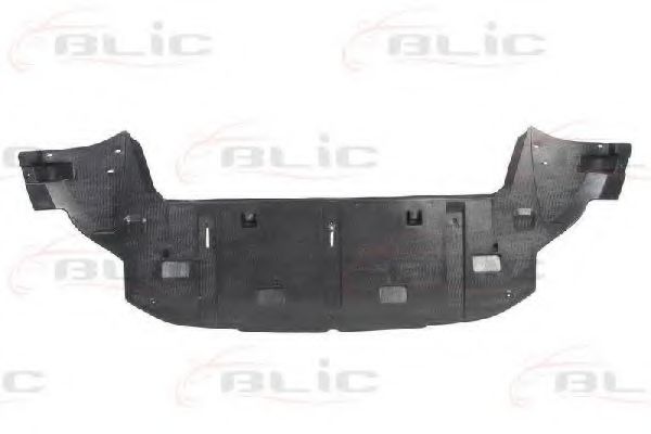 капак моторен отсек 6601-02-5519880P