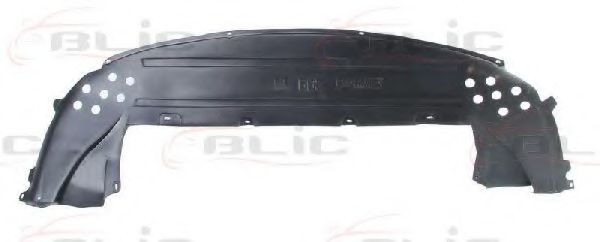 капак моторен отсек 6601-02-5541880P