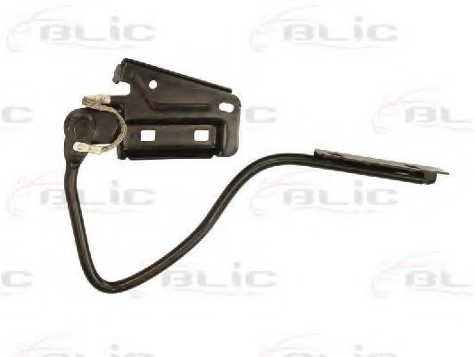 панта, капак на двигателя 6802-00-2509451P