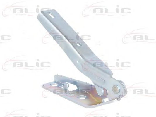 панта, капак на двигателя 6802-00-5507451P