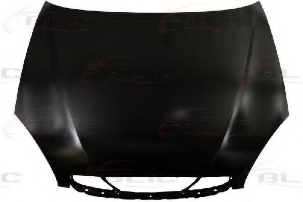 капак на двигателя 6803-00-1111281P