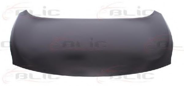 капак на двигателя 6803-00-1619281P