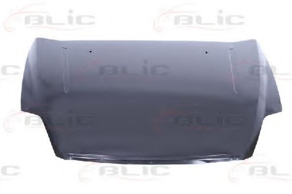 капак на двигателя 6803-00-2556280Q