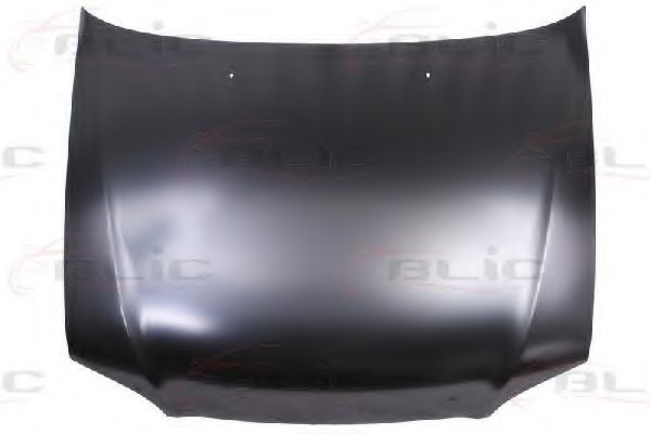 капак на двигателя 6803-00-3154281P