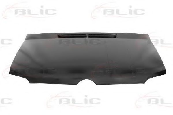 капак на двигателя 6803-00-3546282P