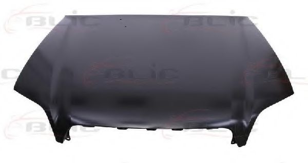 капак на двигателя 6803-00-6711282P