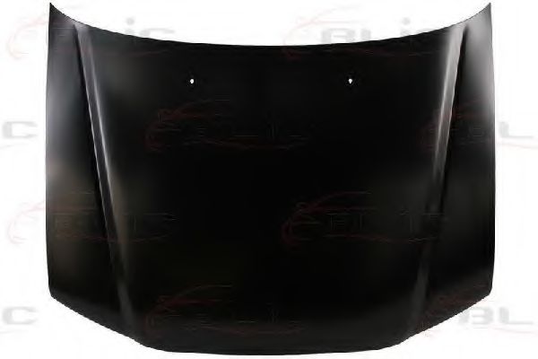 капак на двигателя 6803-00-6736280P