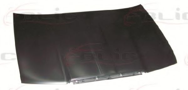 капак на двигателя 6803-00-7520280Q