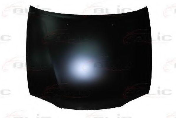 капак на двигателя 6803-00-8114281P