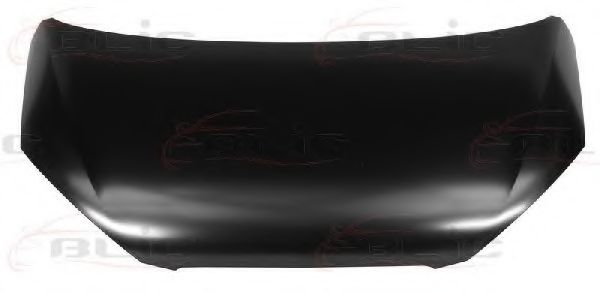 капак на двигателя 6803-00-9516282P