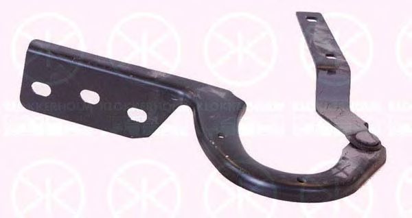 панта, капак на двигателя 2563452