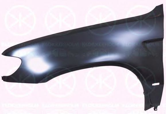 калник 0095312A1