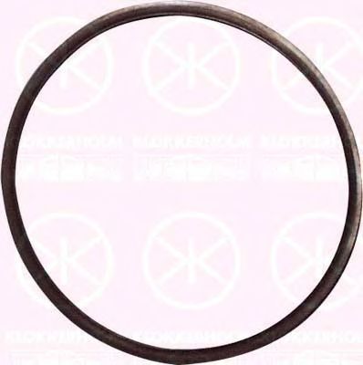 уплътнение, горивна сонда (датчик за показване нивото на гор 25280095