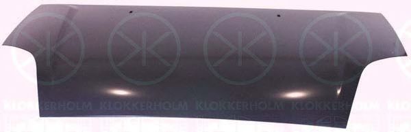 капак на двигателя 2564281A1