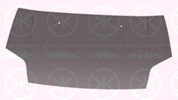 капак на двигателя 2507281A1