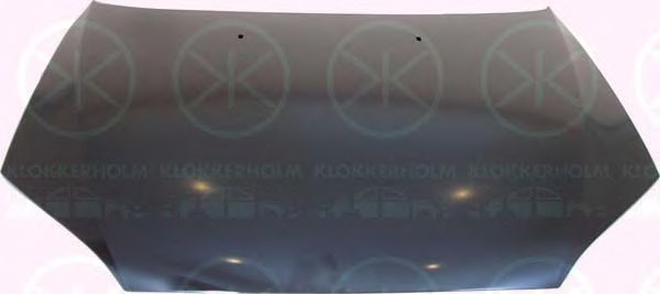 капак на двигателя 2555280A1