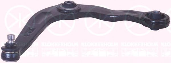 носач, окачване на колелата 5507361A1