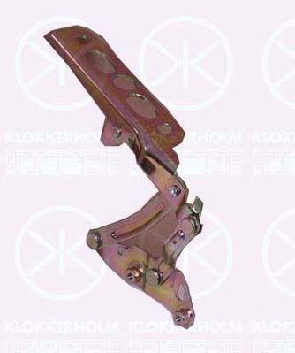 панта, капак на двигателя 2555452